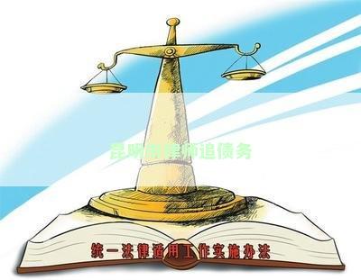 昆明市律师追债务