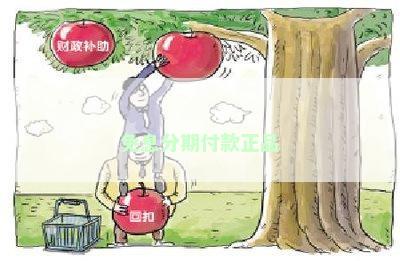 免息分期付款正品
